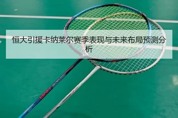 恒大引援卡纳莱尔赛季表现与未来布局预测分析