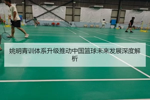 姚明青训体系升级推动中国篮球未来发展深度解析