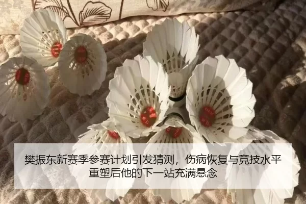 樊振东新赛季参赛计划引发猜测，伤病恢复与竞技水平重塑后他的下一站充满悬念